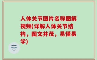 人体关节图片名称图解视频(详解人体关节结构，图文并茂，易懂易学)