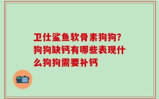 卫仕鲨鱼软骨素狗狗？狗狗缺钙有哪些表现什么狗狗需要补钙