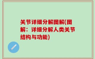 关节详细分解图解(图解：详细分解人类关节结构与功能)