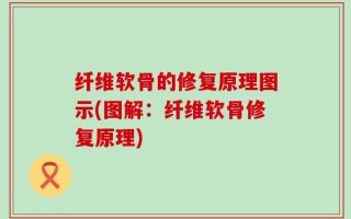 纤维软骨的修复原理图示(图解：纤维软骨修复原理)