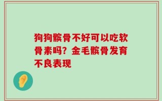 狗狗髌骨不好可以吃软骨素吗？金毛髌骨发育不良表现