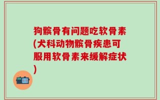 狗髌骨有问题吃软骨素(犬科动物髌骨疾患可服用软骨素来缓解症状)