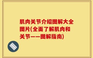 肌肉关节介绍图解大全图片(全面了解肌肉和关节——图解指南)