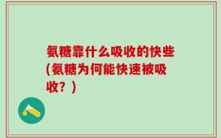 氨糖靠什么吸收的快些(氨糖为何能快速被吸收？)