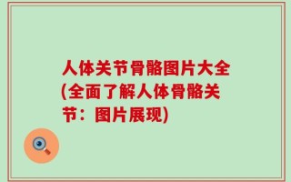 人体关节骨骼图片大全(全面了解人体骨骼关节：图片展现)