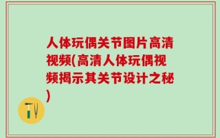 人体玩偶关节图片高清视频(高清人体玩偶视频揭示其关节设计之秘)