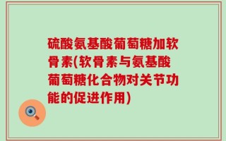 硫酸氨基酸葡萄糖加软骨素(软骨素与氨基酸葡萄糖化合物对关节功能的促进作用)