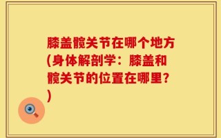 膝盖髋关节在哪个地方(身体解剖学：膝盖和髋关节的位置在哪里？)