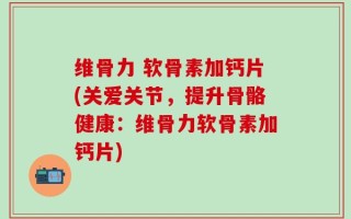 维骨力 软骨素加钙片(关爱关节，提升骨骼健康：维骨力软骨素加钙片)
