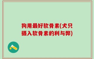 狗用最好软骨素(犬只摄入软骨素的利与弊)