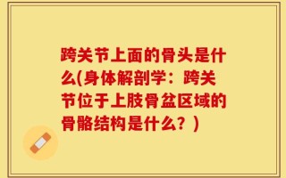 跨关节上面的骨头是什么(身体解剖学：跨关节位于上肢骨盆区域的骨骼结构是什么？)