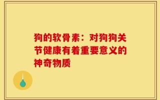狗的软骨素：对狗狗关节健康有着重要意义的神奇物质
