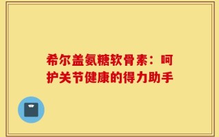 希尔盖氨糖软骨素：呵护关节健康的得力助手