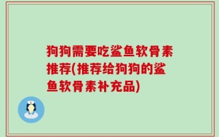 狗狗需要吃鲨鱼软骨素推荐(推荐给狗狗的鲨鱼软骨素补充品)
