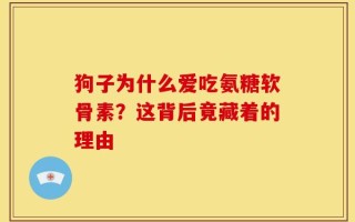 狗子为什么爱吃氨糖软骨素？这背后竟藏着的理由
