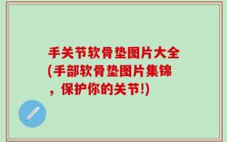 手关节软骨垫图片大全(手部软骨垫图片集锦，保护你的关节!)