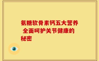 氨糖软骨素钙五大营养 全面呵护关节健康的秘密