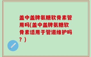 盖中盖牌氨糖软骨素管用吗(盖中盖牌氨糖软骨素适用于管道维护吗？)