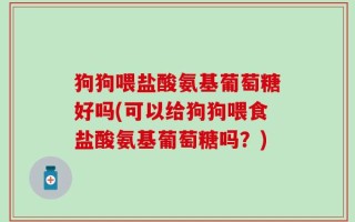 狗狗喂盐酸氨基葡萄糖好吗(可以给狗狗喂食盐酸氨基葡萄糖吗？)