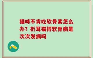 猫咪不肯吃软骨素怎么办？折耳猫得软骨病是次次发病吗