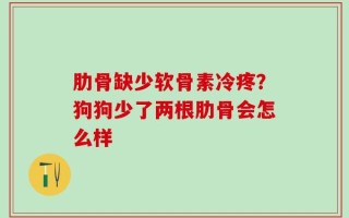 肋骨缺少软骨素冷疼？狗狗少了两根肋骨会怎么样