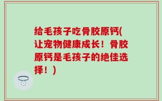 给毛孩子吃骨胶原钙(让宠物健康成长！骨胶原钙是毛孩子的绝佳选择！)