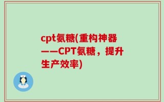 cpt氨糖(重构神器——CPT氨糖，提升生产效率)