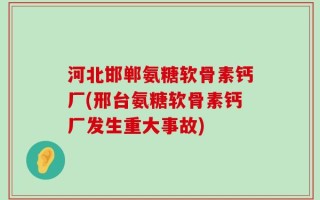 河北邯郸氨糖软骨素钙厂(邢台氨糖软骨素钙厂发生重大事故)
