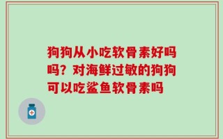 狗狗从小吃软骨素好吗吗？对海鲜过敏的狗狗可以吃鲨鱼软骨素吗