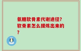 氨糖软骨素代谢途径？软骨素怎么提炼出来的？