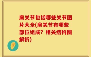 肩关节包括哪些关节图片大全(肩关节有哪些部位组成？相关结构图解析)