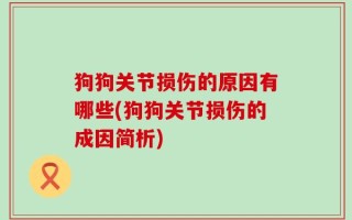 狗狗关节损伤的原因有哪些(狗狗关节损伤的成因简析)