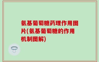 氨基葡萄糖药理作用图片(氨基葡萄糖的作用机制图解)