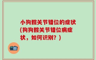 小狗髋关节错位的症状(狗狗髋关节错位病症状，如何识别？)