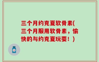 三个月约克夏软骨素(三个月服用软骨素，愉快的与约克夏玩耍！)