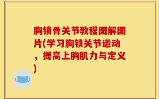 胸锁骨关节教程图解图片(学习胸锁关节运动，提高上胸肌力与定义)