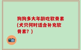狗狗多大年龄吃软骨素(犬只何时适合补充软骨素？)
