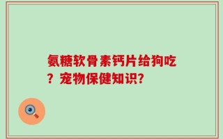 氨糖软骨素钙片给狗吃？宠物保健知识？