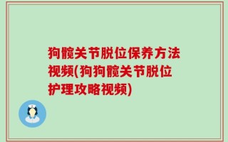 狗髋关节脱位保养方法视频(狗狗髋关节脱位护理攻略视频)