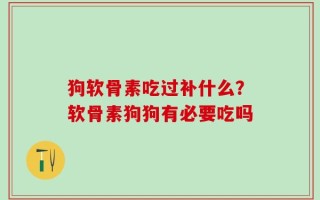 狗软骨素吃过补什么？软骨素狗狗有必要吃吗