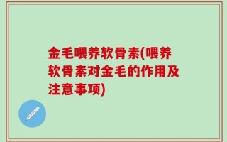 金毛喂养软骨素(喂养软骨素对金毛的作用及注意事项)