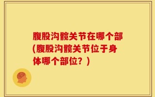 腹股沟髋关节在哪个部(腹股沟髋关节位于身体哪个部位？)