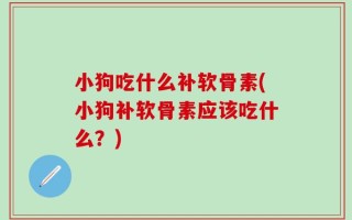 小狗吃什么补软骨素(小狗补软骨素应该吃什么？)