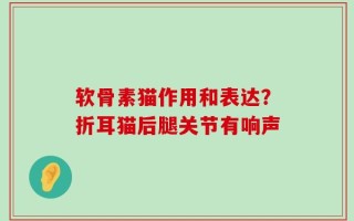 软骨素猫作用和表达？折耳猫后腿关节有响声