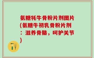 氨糖牦牛骨粉片剂图片(氨糖牛初乳骨粉片剂：滋养骨骼，呵护关节)