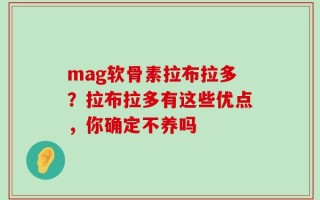 mag软骨素拉布拉多？拉布拉多有这些优点，你确定不养吗