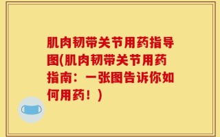 肌肉韧带关节用药指导图(肌肉韧带关节用药指南：一张图告诉你如何用药！)