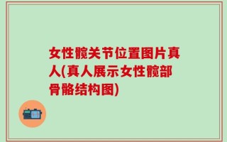 女性髋关节位置图片真人(真人展示女性髋部骨骼结构图)