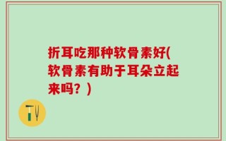 折耳吃那种软骨素好(软骨素有助于耳朵立起来吗？)