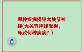 哪种疾病侵犯大关节神经(大关节神经受损，导致何种疾病？)
